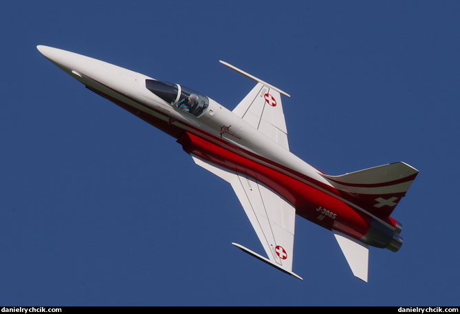 F-5E Tiger (Patrouille Suisse, RC model)