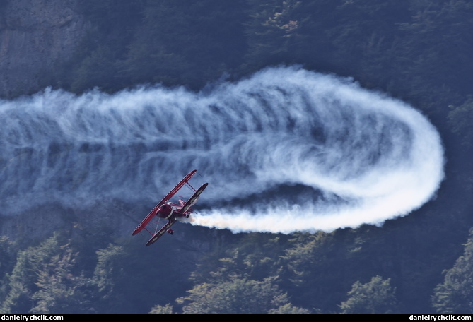 Pitts S-1S