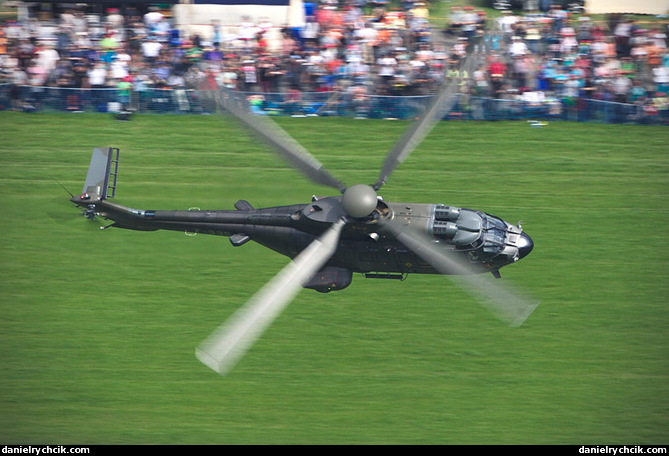 Aerospatiale AS-332 Super Puma (Swiss Air Force)