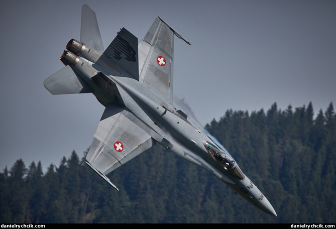 McDonnell Douglas F/A-18C Hornet (Swiss Air Force)