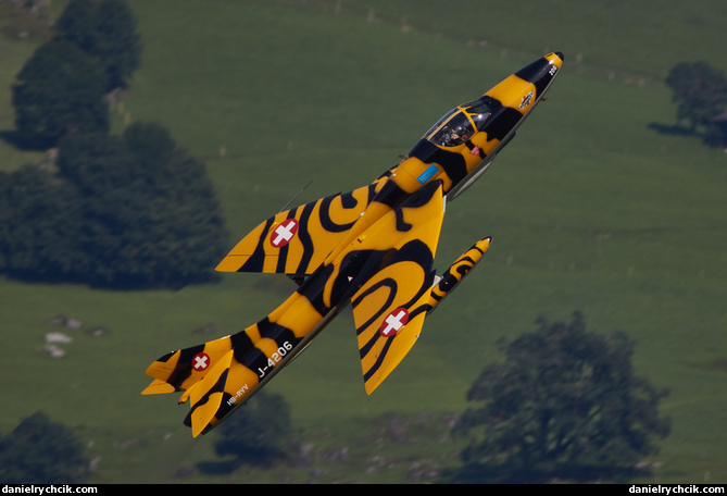 Hawker Hunter Mk.58 "Tiger"