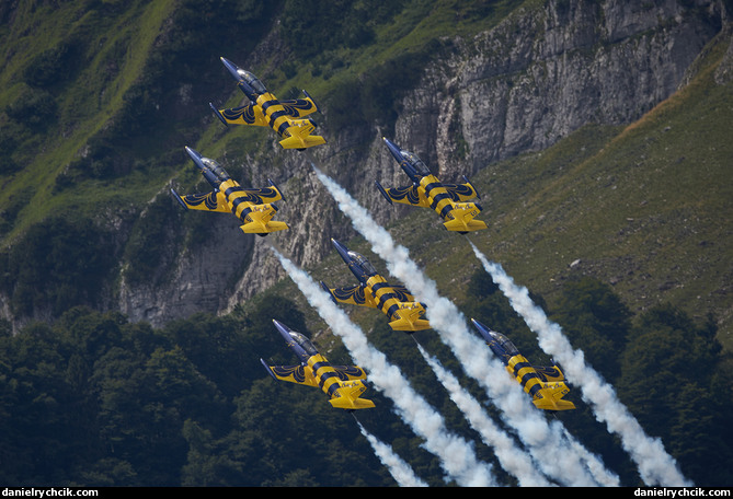 Aero L39 Albatros (Baltic Bees)