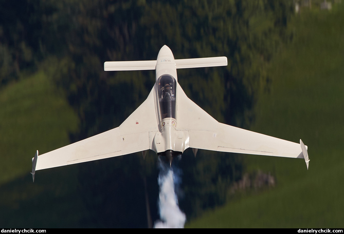 Rutan VariEze (Patrouille REVA)