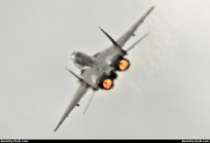 Mikoyan-Gurevich MiG-29 (Slovakian Air Force)