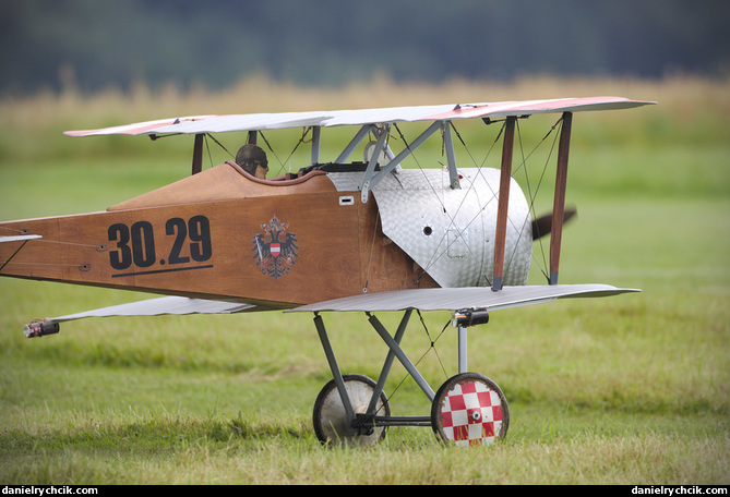 Fokker D.III