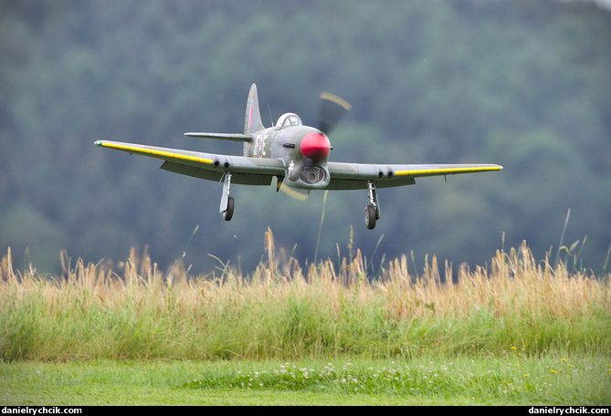 Hawker Tempest V