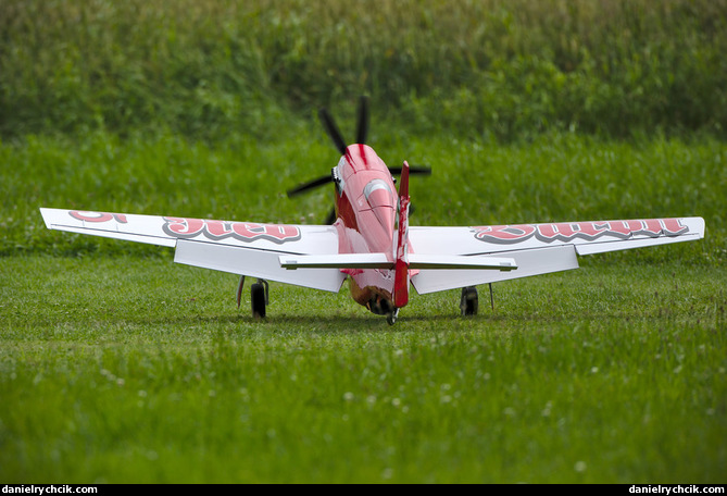 North American P-51D Mustang "Red Baron"