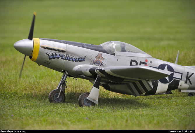 North American P-51D Mustang