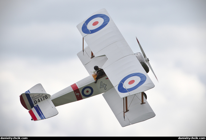 Sopwith F.1 Camel