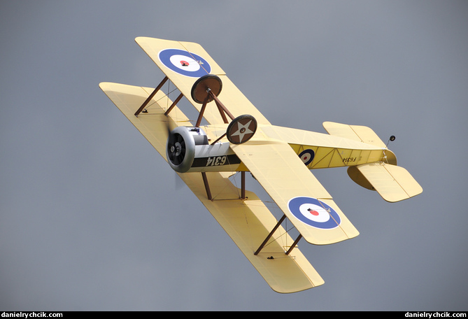 Sopwith F.1 Camel