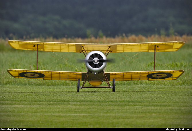 Sopwith F.1 Camel