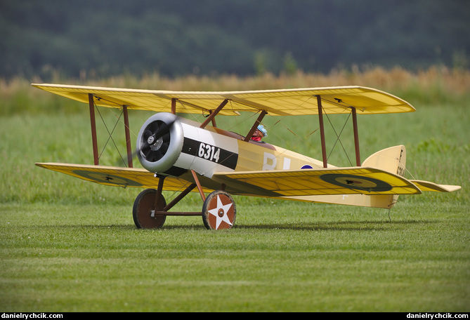 Sopwith F.1 Camel