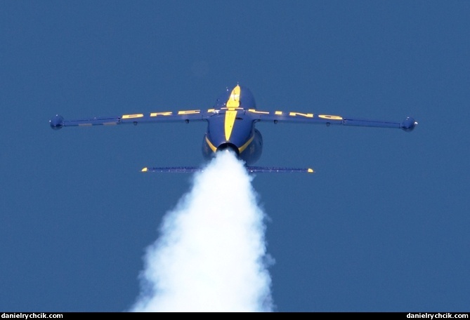 Aero L-39 Albatros (Breitling Jet Team)