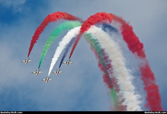 Al Fursan display team