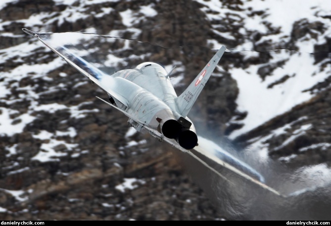 Northrop F-5E Tiger II