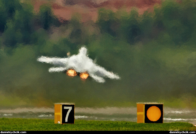 Mikoyan-Gurevich MiG-29 (Slovak Air Force solo display)