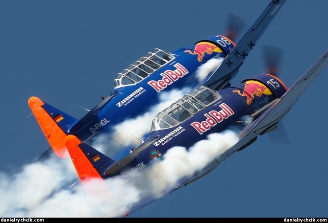 North American T-6 Texan (Toni and Walter Eichhorn)