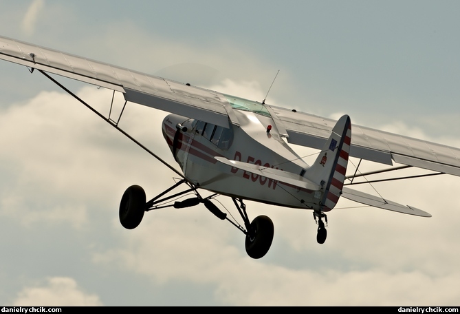 Piper Cub