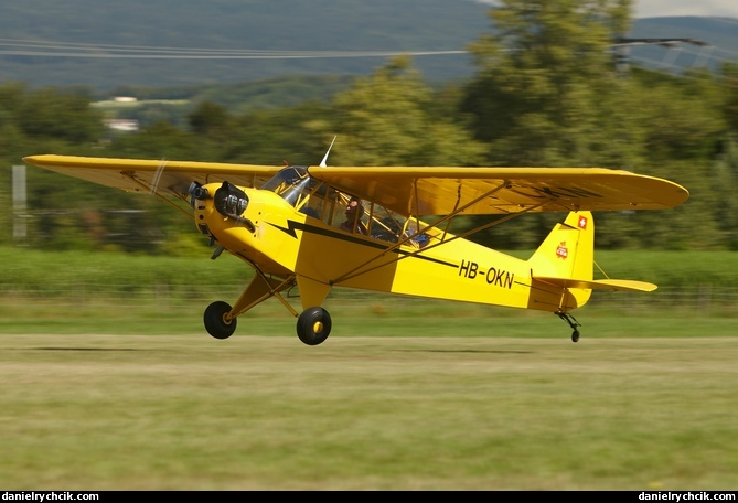 Piper Cub