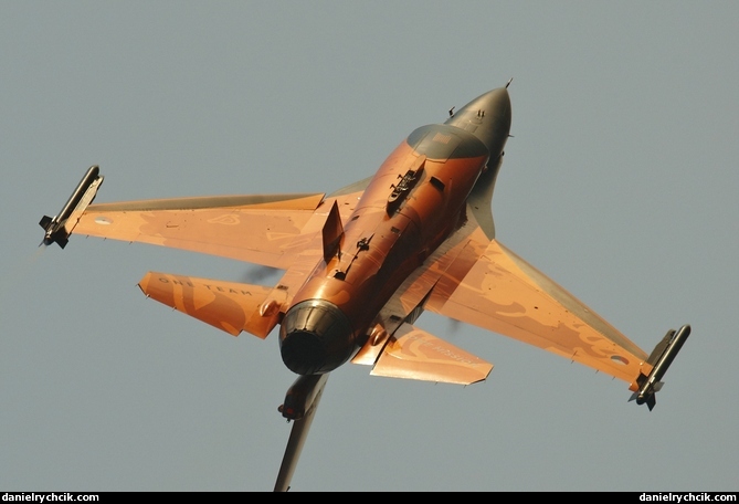 F-16C Falcon (RNLAF solo display)