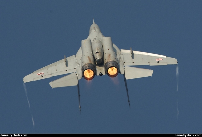 Mikoyan-Gurevich MiG-29UB (Polish Air Force)