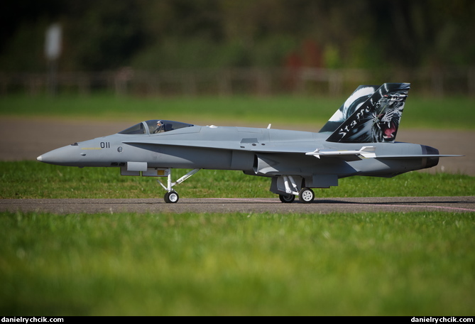 McDonnell-Douglas F/A-18C Hornet (Swiss Air Force)