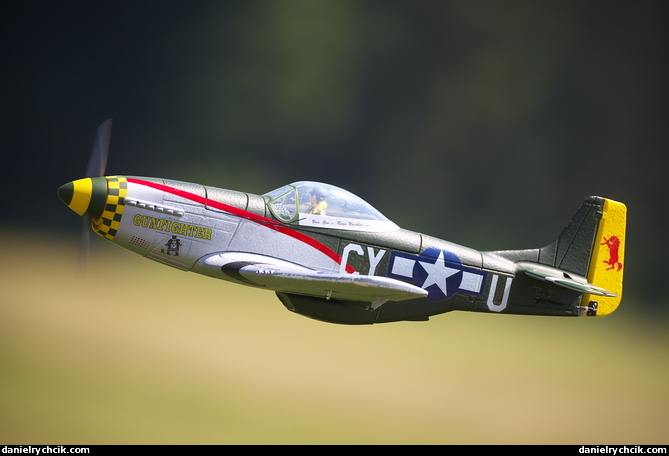 North American P-51D Mustang