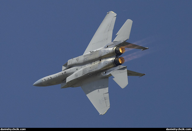 F-15C Eagle solo display