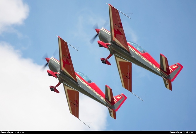 Jordanian Falcons