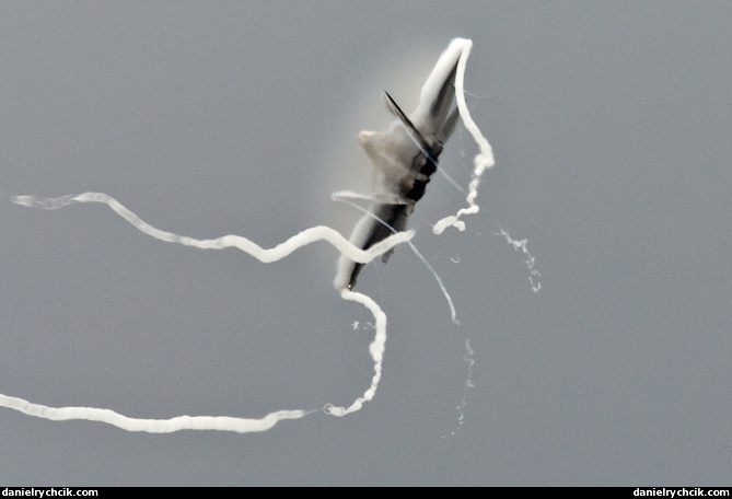 Lockheed Martin F-22A Raptor display