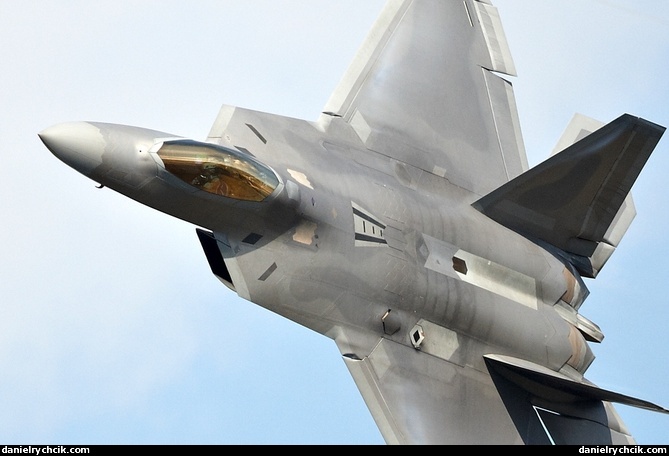 Lockheed Martin F-22A Raptor display