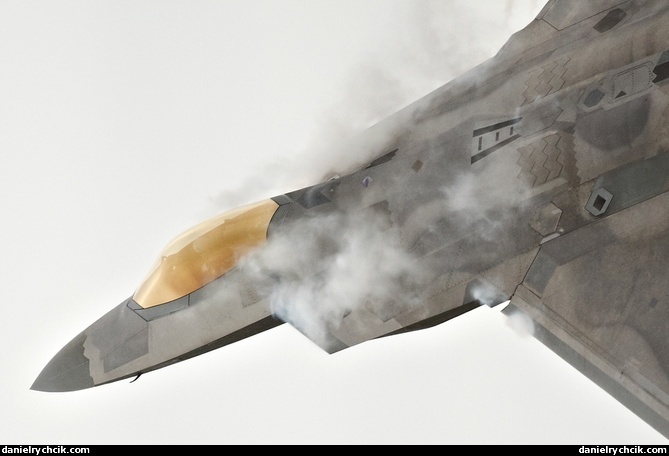 Lockheed Martin F-22A Raptor display