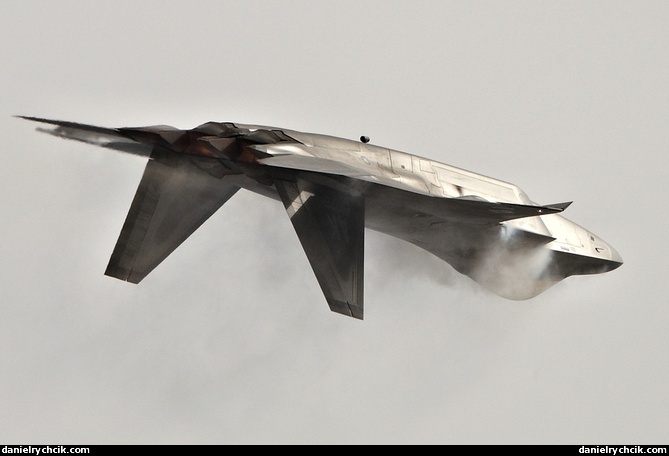 Lockheed Martin F-22A Raptor display