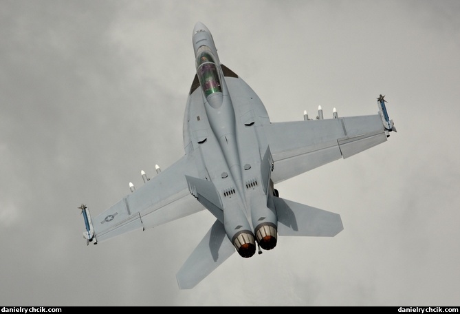 F/A-18F Super Hornet solo display