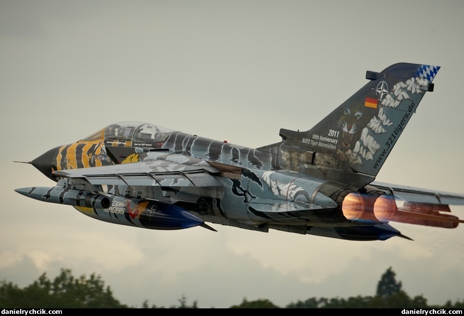 Panavia Tornado ECR (German Air Force)