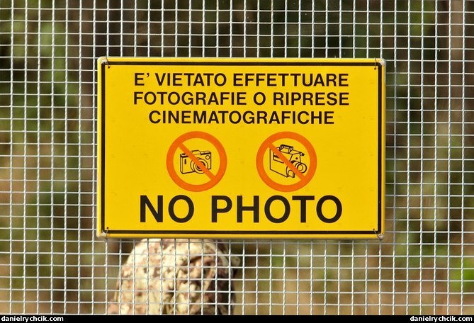 No photography?