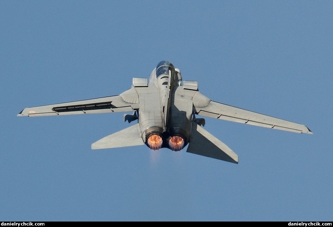 Panavia Tornado IDS