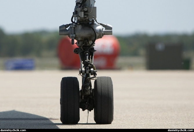 Detail of the Mirage F1