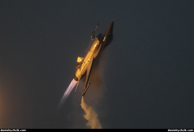 Lockheed Martin F-16AM Fighting Falcon (Belgian Air Force display)