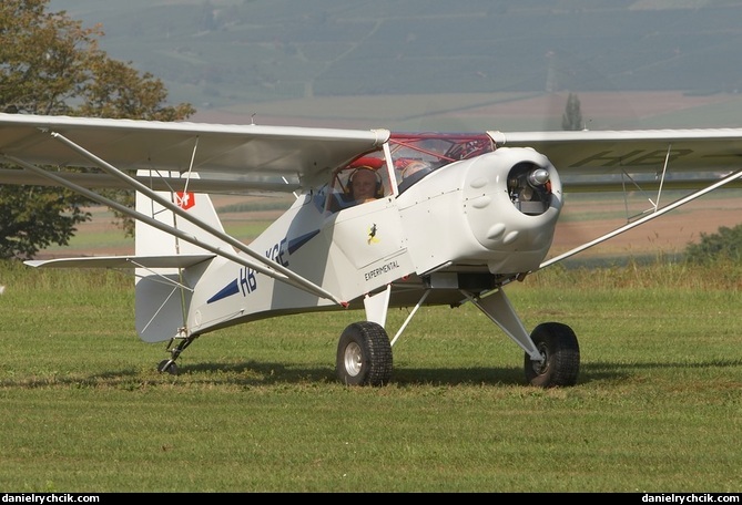 Kitfox IV