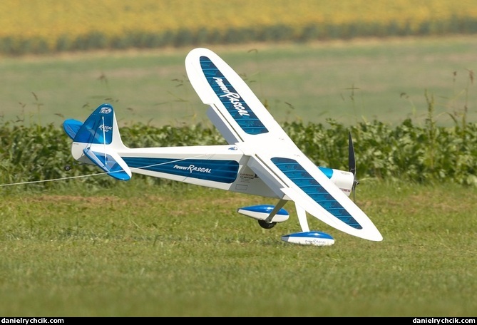 Rascal 110 ARF (RC model)