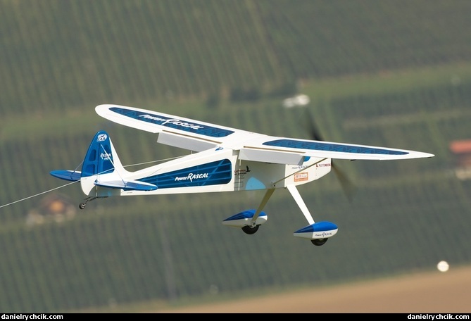 Rascal 110 best sale rc plane