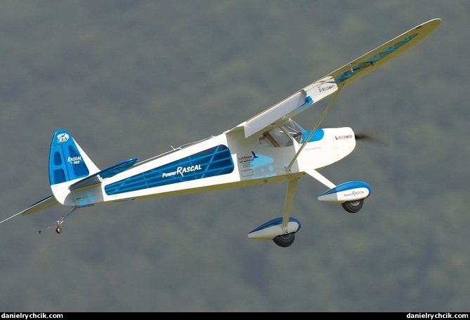 Rascal 110 ARF (RC model)