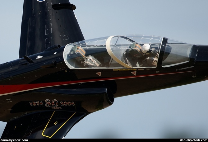 BAe Hawk (RC model)