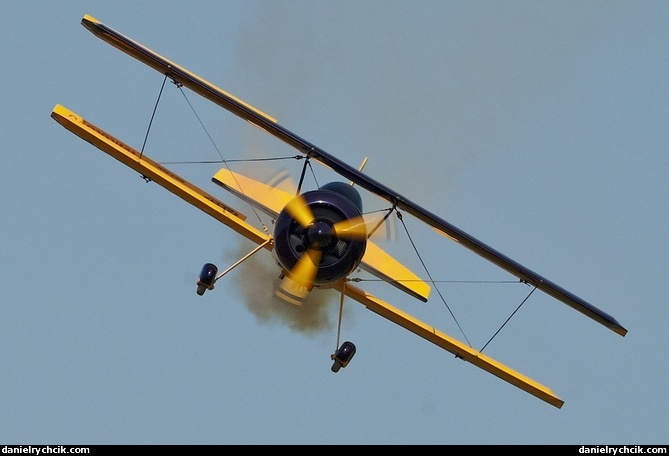 Pitts S-1D (RC model)