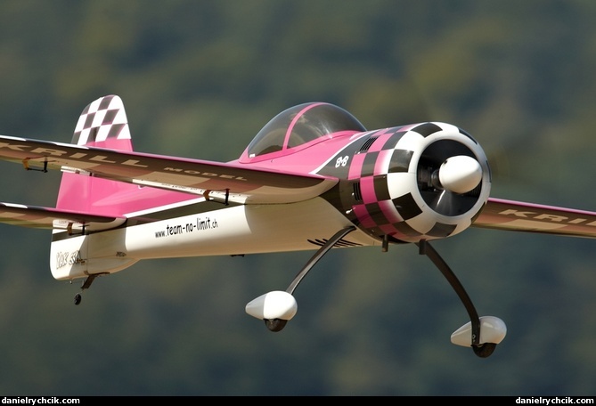 Yakovlev Yak-55 (RC model)