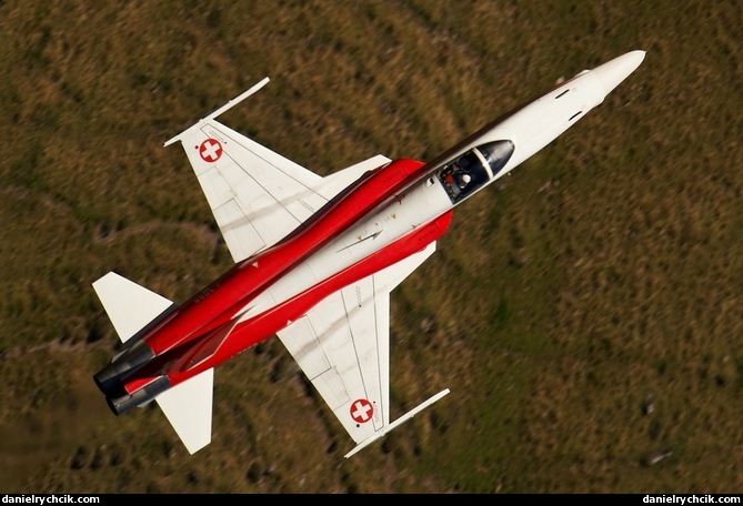 F-5E Tiger of Patrouille Suisse