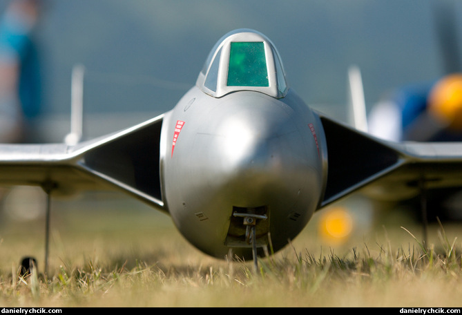 De Havilland DH.115 Vampire (RC model)