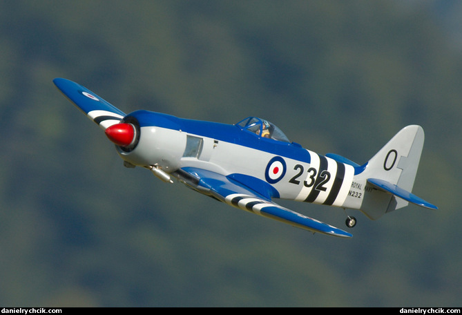 Hawker Sea Fury (RC model)