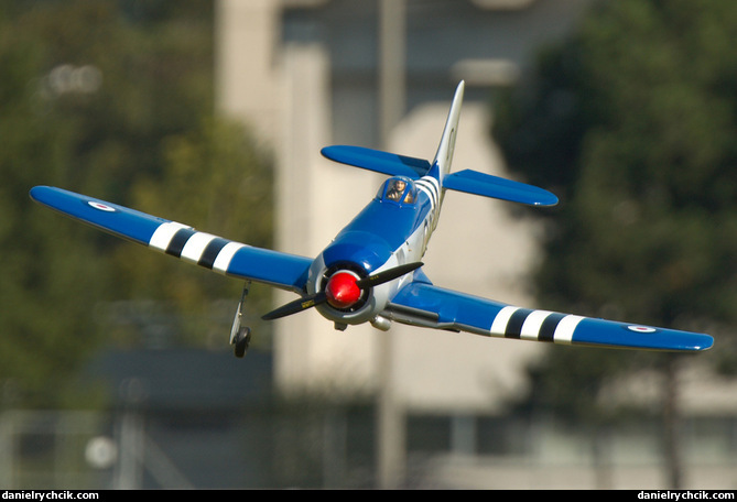 Hawker Sea Fury (RC model)